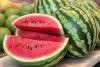 Enjoy a sweet slice of summer at N.C. Watermelon Day at the Robert G. Shaw Piedmont Triad Farmers Market Friday