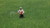 Adequate Fertiliser Stocks Available In Rajasthan, Farmers Need Not Worry: Agriculture Minister