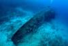 20th-Century Shipwrecks Are Poisoning Our Oceans—But Underwater Microbes Are Fighting Back