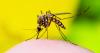 Cheyenne reports first human case of West Nile virus this season