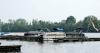 5 die in attempt to save struggling swimmer swept away by river in Ohio