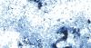 Cyclosporiasis cases in North Carolina surge past 500; some Triangle schools to pull fresh produce from lunch menus
