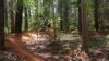 Mountain bike trail on the cards for Bridgetown