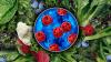 Mississippi health officials confirm sixth cyclosporiasis case amid multistate lettuce probe