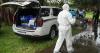 Florida postal worker who picked up stray cats on route kept over 70 animals in squalor: MCSO