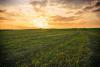 Despite downturn, agriculture economy is stronger than 1980s, economists say 
