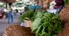 Health officials: It's OK to eat lettuce, but use care