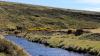 How Satellites Monitor The Falklands’ Fresh Water