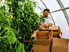 Extension hosts statewide events to strengthen Nevada's food system