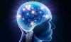 Doctors Stress ‘Time Is Brain’ in Stroke Care