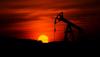 Indian refineries increase purchases of Russian oil – Bloomberg