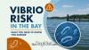 Chesapeake Bay Summer Warning: What You Need To Know About Vibrio Bacteria In Maryland Waters