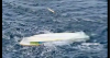 PNG Police widen search as 27 remain missing off East New Britain coast