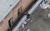 Suspect In San Francisco Kitten Killing Fails to Show Up For Court Date, Warrant Issued