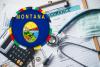 Montana Stops Another $5 Million in Alleged Insurance Fraud