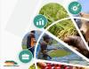 Cameroon Opens Call for Agropastoral, Fisheries Projects at University of Bertoua