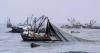 Argentina joins FAO treaty against illegal fishing, tightening control in the South Atlantic