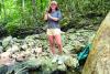 Biology major measuring, comparing Hurricane Helene’s environmental impact