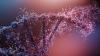 Roche’s new gene sequencer on the market: where do current players stand? 
