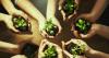 DN Group AG's International Impact Forum in Frankfurt Sets Attendance Record with Speakers Including Grupp, Dr. Mohn, and Cramer