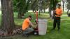 Prince Albert moves to protect Kinsmen Park elms from Dutch elm disease