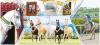 The Akhal-Teke Horse – the Pride and Glory of the Turkmen People