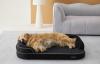 Lifestyle Brand Lesure Brings Human Sleep Standards to Pets with RealOrtho Dog Bed Launch