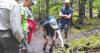 Discover local biodiversity during BioBlitz at Squam Lakes Natural Science Center