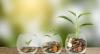 Hrvatski Telekom Earns A ESG Rating and Joins Global Telecom Sustainability Leaders