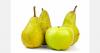 Dutch harvest forecast for 2026: Fewer apples, more pears