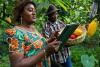 Africa’s ClimateTech Funding Hits $6.35bn as Sector Overtakes FinTech in Venture Investment