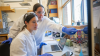 🔒Jackson Lab, Colby College expand mentored research program