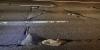 Drivers beware: Construction set to close lanes on SR 51 in Phoenix