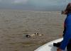 41 bodies recovered from MV Barima accident site