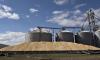 Grain Office Urges Protection of Harvest Amid Adverse Weather Forecasts