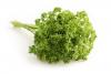 The humble garnish that fights cancer: New science reveals parsley’s potent secret