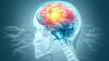 New research reveals potential way to restore sleep in Alzheimer’s disease