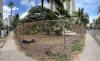 Rotary Club of Honolulu continues improvements to Centennial Park Waikīkī with renovated fencing