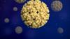 CDC sounds alarm over terrifying incurable mosquito virus outbreak in vacation hotspot