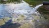 Majority of local authorities reached environmental enforcement targets last year