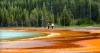 Tourists Spark Outrage After Walking Across Fragile Yellowstone Hot Spring Mats