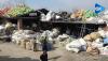 Environmental Necessity, Economic Opportunity