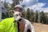 Lost in Colorado wilderness for 33 days, terrier dodges mountain lions, becomes so wild she doesn't recognize owner right away