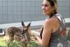 Texas wildlife rescue owner ran into floodwaters, bear-hugged a porcupine, and saved every animal