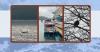 Camera Roll: Orcas, Glaciers, and Eagles on a 7-Day Alaska Cruise