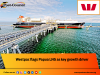 Westpac flags Papua LNG as key growth driver