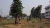 Initiative launched to create Campus Biodiversity Registers across colleges, unversities in India