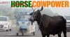 Farm to freeway: India's cows are fast becoming a biofuel boon
