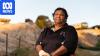 Unlawful excavation of river cliff disturbs Aboriginal ancestral remains