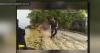 Maryland deputies praised for rescuing child with autism from river